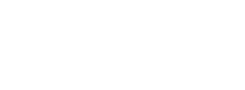 Fassstar.ch Logo